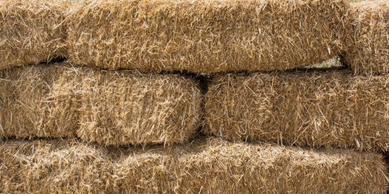 hay bale - Louisiana Farm Bureau® Insurance