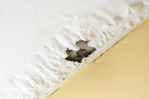 Damaged ceiling from water leak - Louisiana Farm Bureau ...