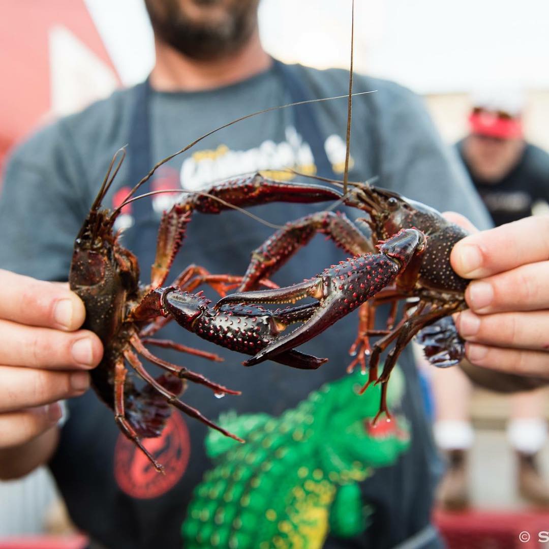 Celebrate Crawfish Festival Season! Louisiana Farm Bureau® Insurance