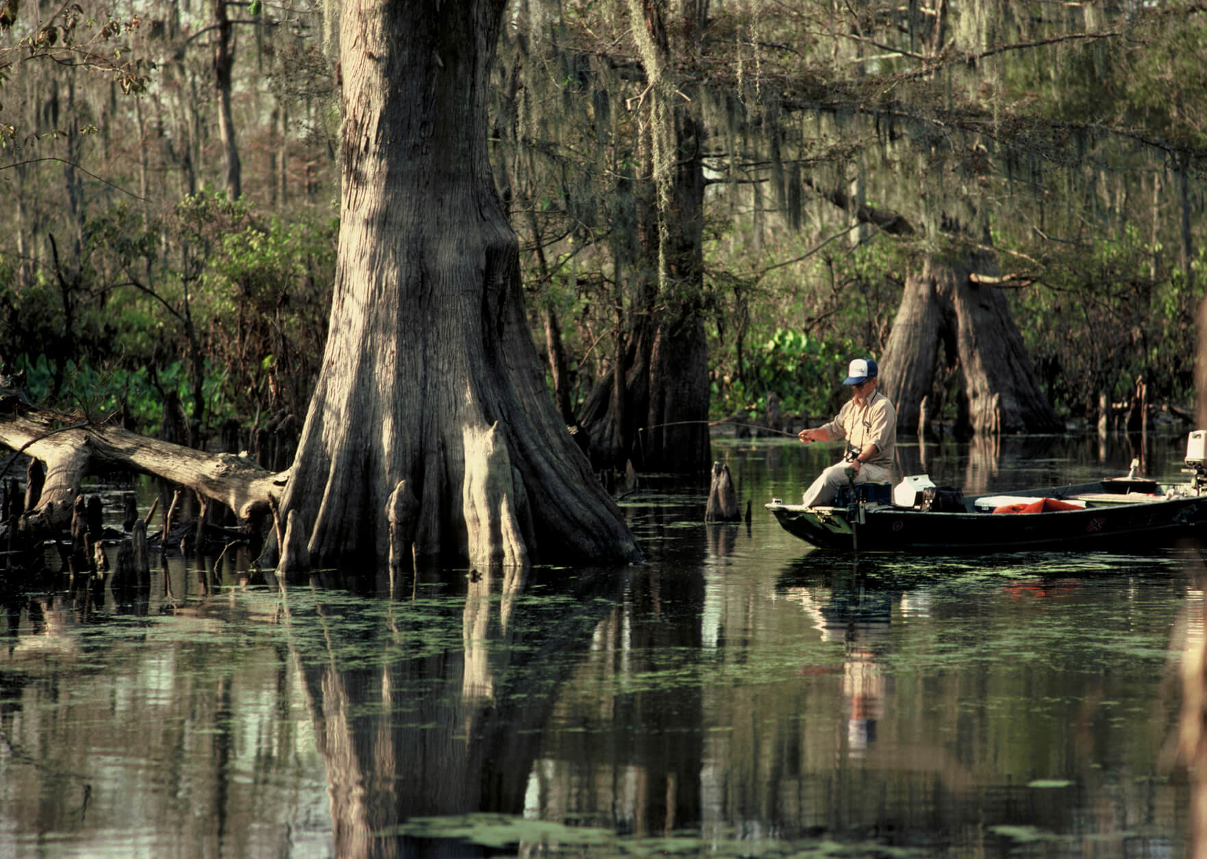 get-your-fishing-license-in-louisiana-farm-bureau-insurance